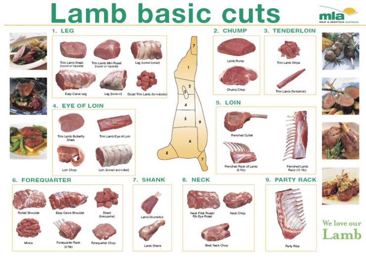 Informational diagram of Lamb Cuts